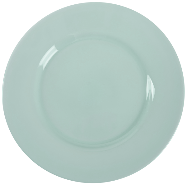 Тарелка обеденная LUMINARC PLUMI LIGHT TURQUOISE 24 см (V9044)