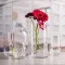 Ваза для цветов Rona Ambiente optical 185 мм (5476/P 0 18.5)