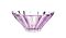 Цукерниця Bohemia Plantica Amethyst 220 мм (6KG02 72T30 220 F)