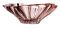 Фруктовниця Bohemia Plantica Pink 330 мм (6KG02 72T31 330 P)